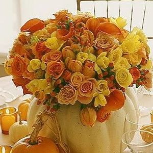 Meet your Posher, Gemma